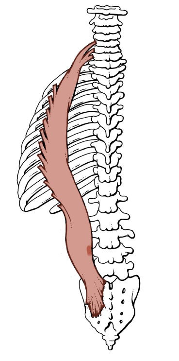 Upper Back Pain – Massage Therapy Connections