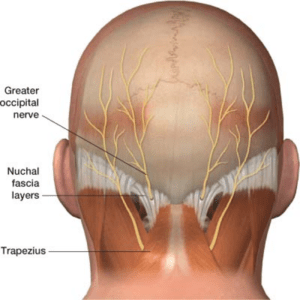 Anglesey Therapeutic Massage - 🍃🌸Chronic muscle tension can eventually  lead to serious problems. Tense muscles in the jaw and neck cause headaches  by constricting blood flow to the head and scalp. And