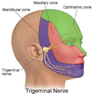 Facial Pain - Massage Therapy Connections